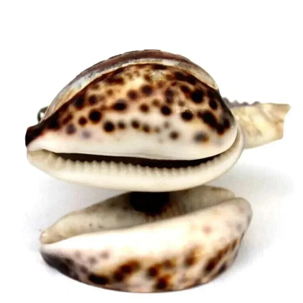 Vintage RARE 3 Level Sea Shell R. Napoli Ashtray - Picture 5 of 5
